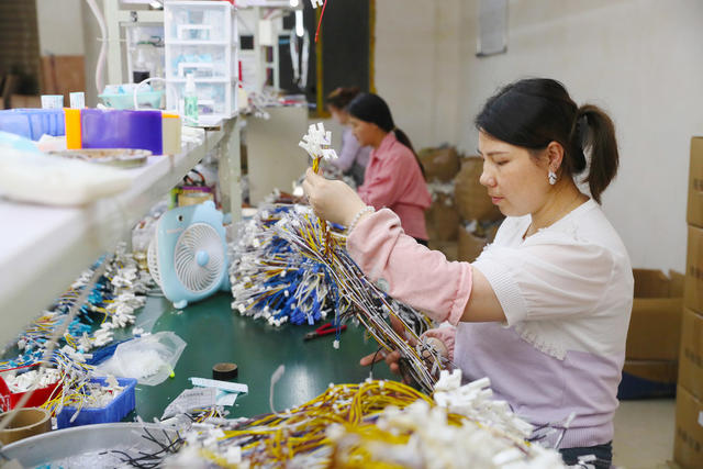 微工厂  就业  帮扶  增收  电子