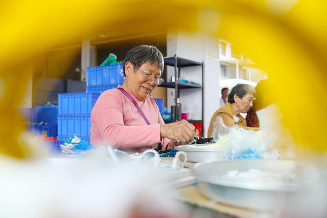微工厂  就业  帮扶  增收  电子