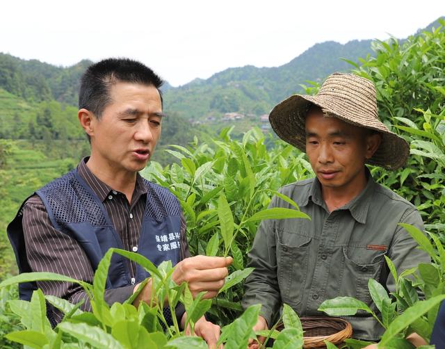   科技下乡促增收