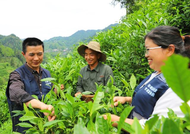   科技下乡促增收