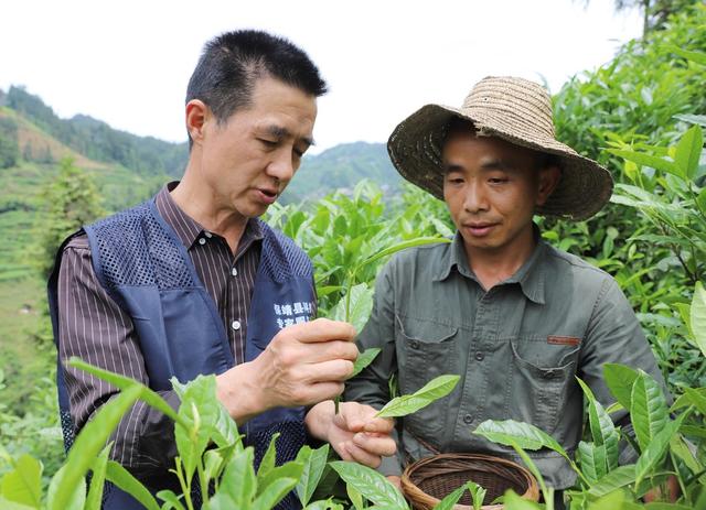   科技下乡促增收