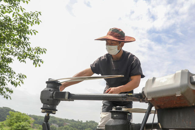 插秧  无人机 分离油菜籽