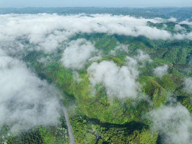 吉首 红山国有林场 青山 晨雾 生态