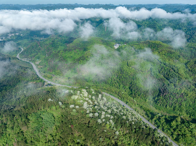 吉首 红山国有林场 青山 晨雾 生态