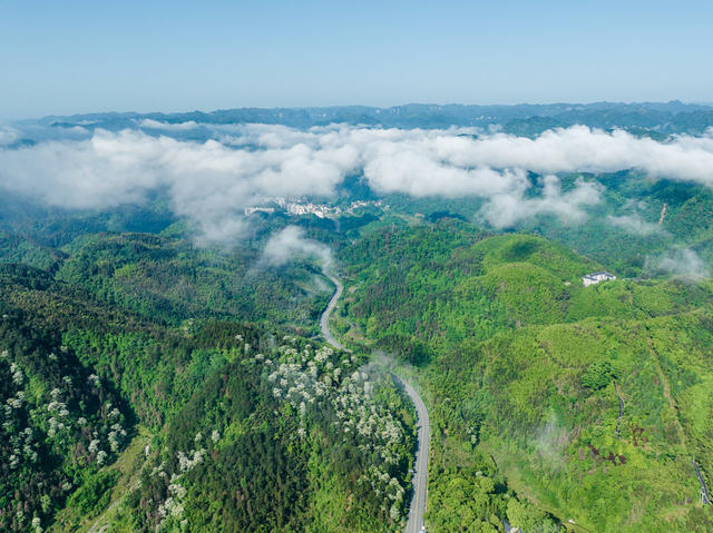 吉首 红山国有林场 青山 晨雾 生态