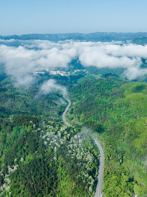 吉首 红山国有林场 青山 晨雾 生态