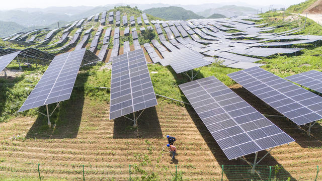 湖南娄底,农光互补,,农业,,能源,发电