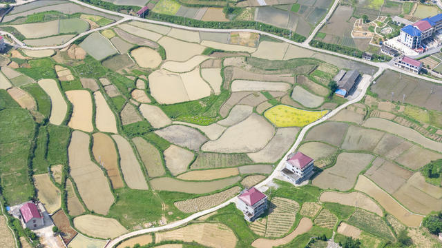 娄底 田园