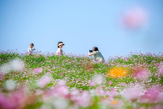 鲜花 打卡 游玩 美景