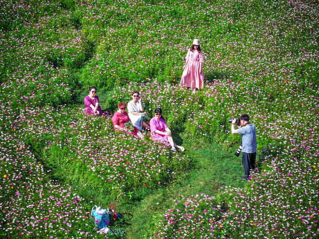 鲜花 打卡 游玩 美景