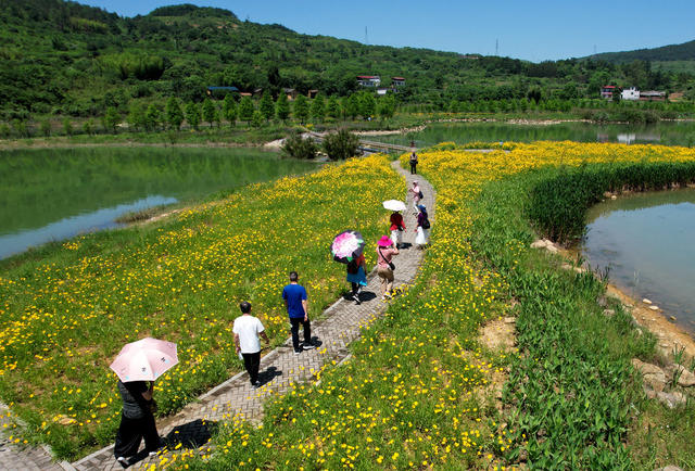 湖南郴州 杭溪湿地公园 画 