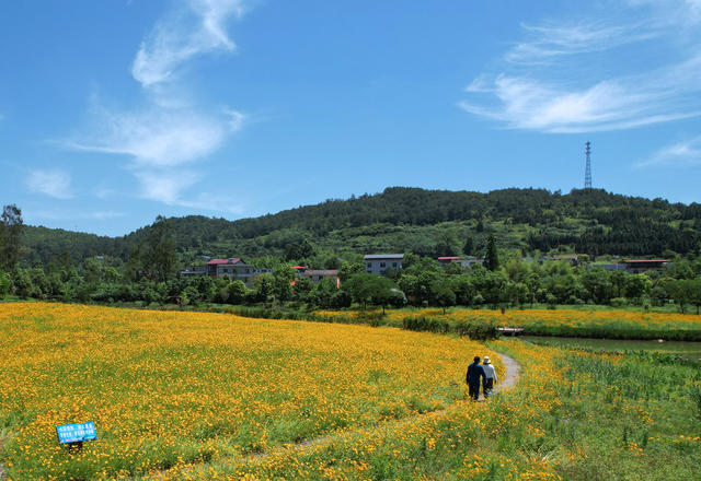 湖南郴州 杭溪湿地公园 画 