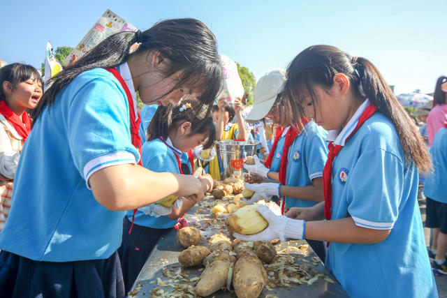 湖南，湘西，校园，劳动，技能，比赛