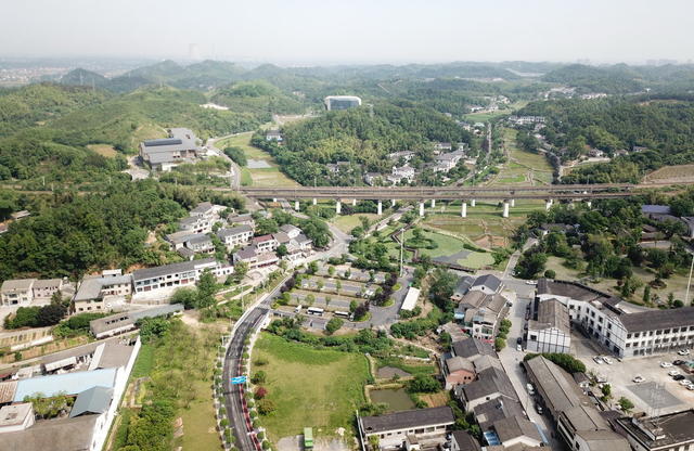 文学口赋能囗 清溪囗巨变