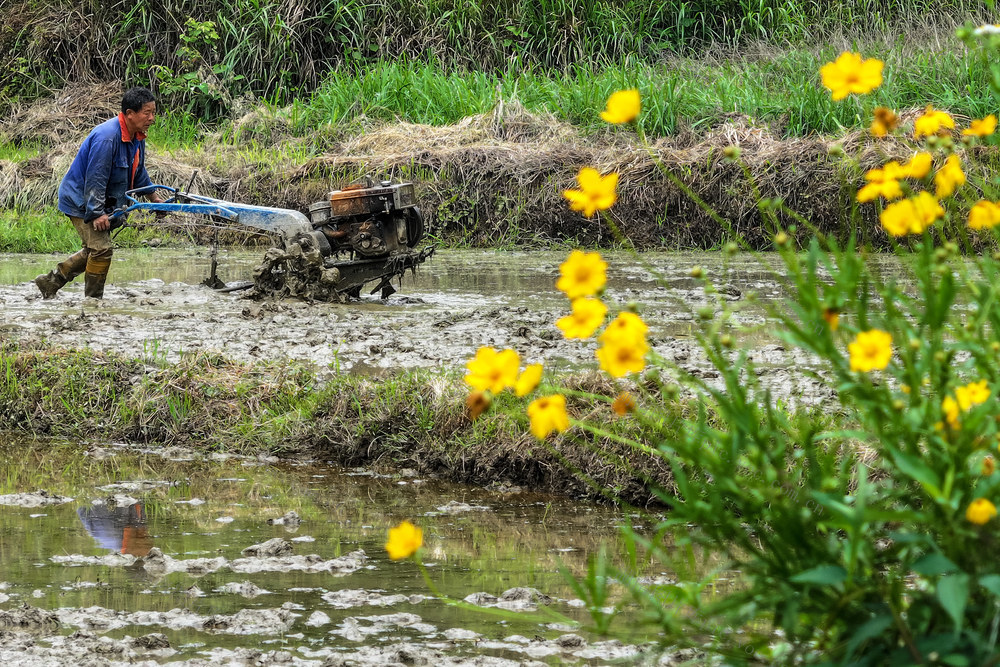 农耕、初夏、花香、耕地、农机