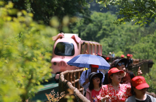 夏日 张家界 旅游 升温