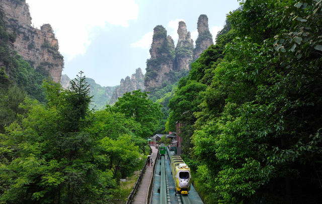 夏日 张家界 旅游 升温