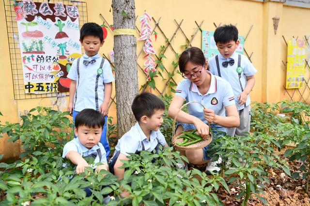 中国学生营养日、全民营养周