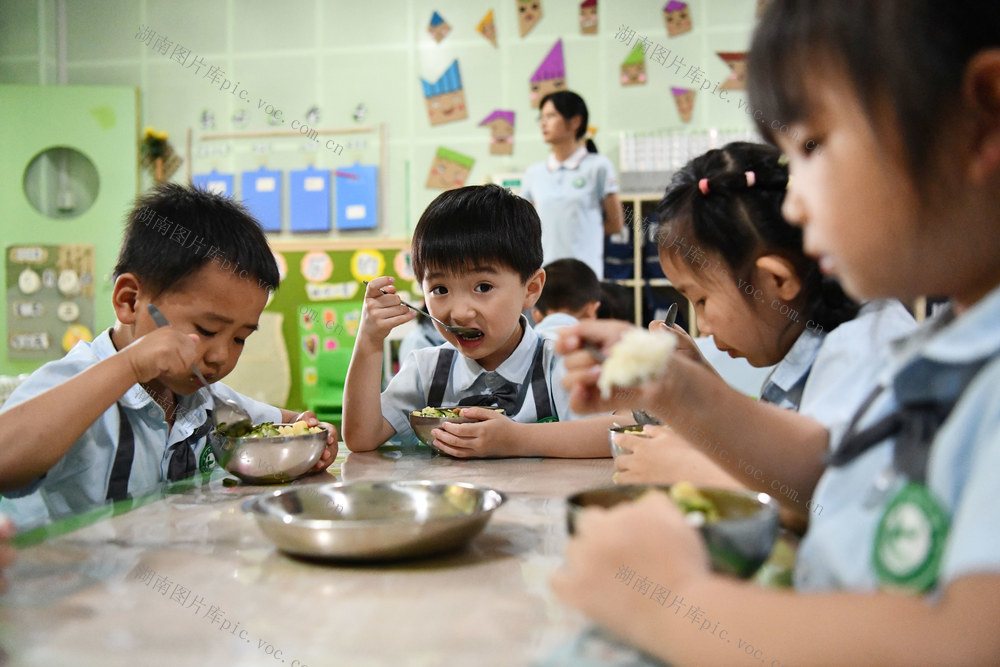 中国学生营养日、全民营养周