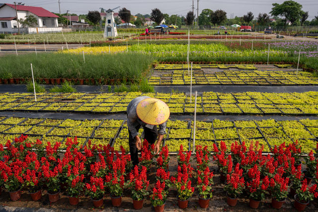 农业 湖南 长沙 花卉 产业园 乡村振兴 