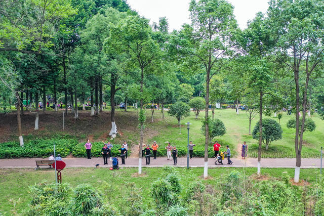 生态 绿地 植物园 绿化 休闲 公园