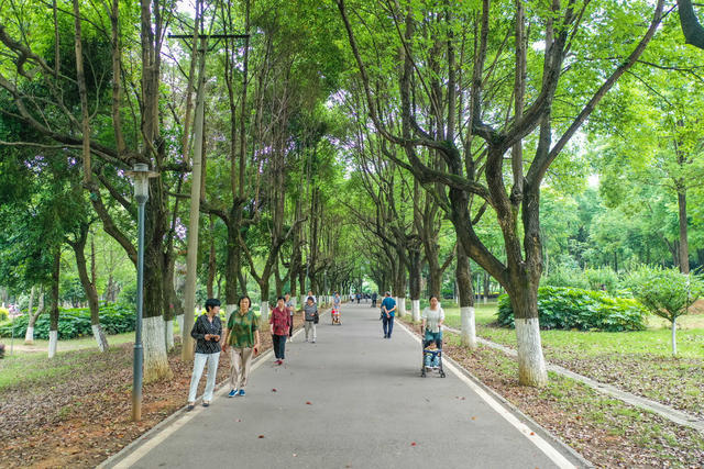 生态 绿地 植物园 绿化 休闲 公园