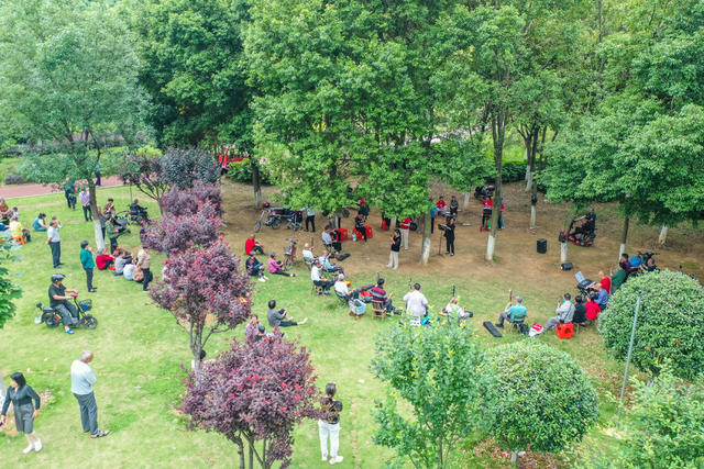 生态 绿地 植物园 绿化 休闲 公园