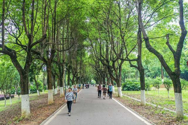 生态 绿地 植物园 绿化 休闲 公园