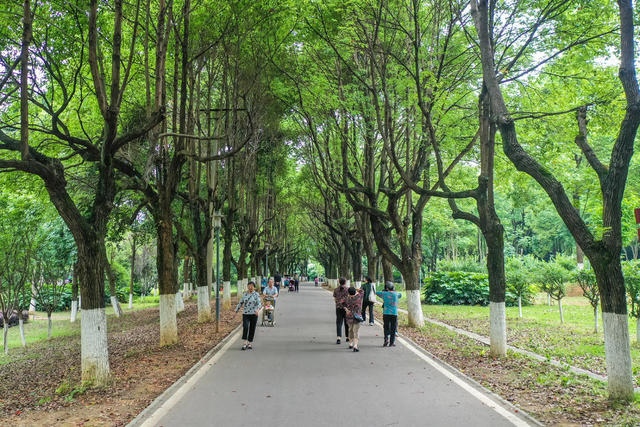 生态 绿地 植物园 绿化 休闲 公园