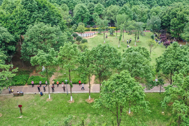 生态 绿地 植物园 绿化 休闲 公园