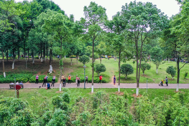 生态 绿地 植物园 绿化 休闲 公园