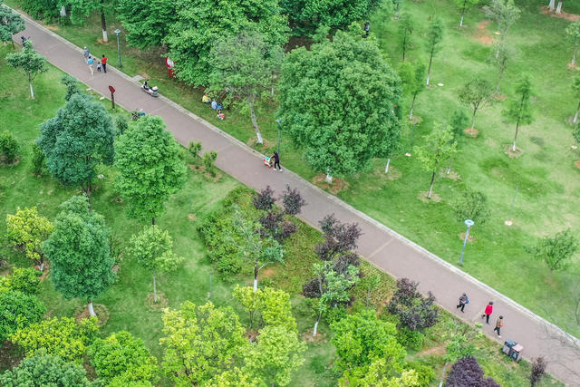 生态 绿地 植物园 绿化 休闲 公园