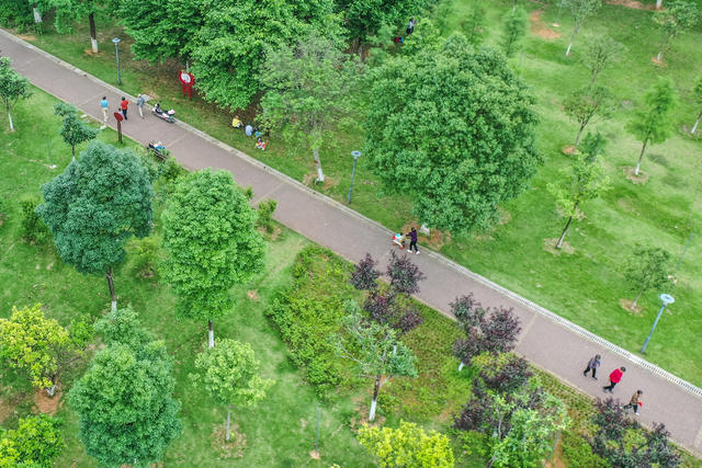 生态 绿地 植物园 绿化 休闲 公园
