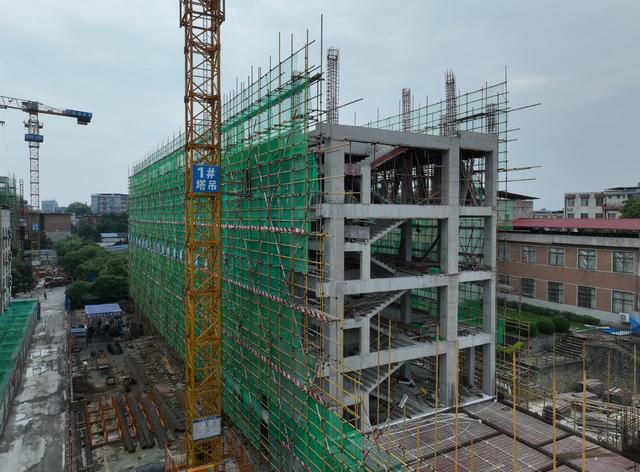 “徐特立项目”
学校
高中教育
道县