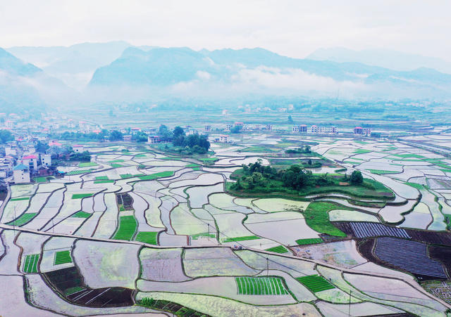 山村 田园 初夏 景色