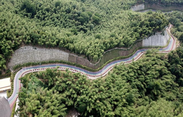 竹海囗景区囗美