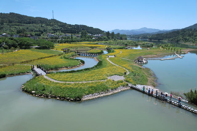 东江湖 畔 湿地 美