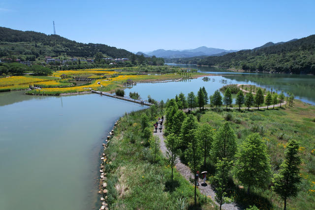 东江湖 畔 湿地 美