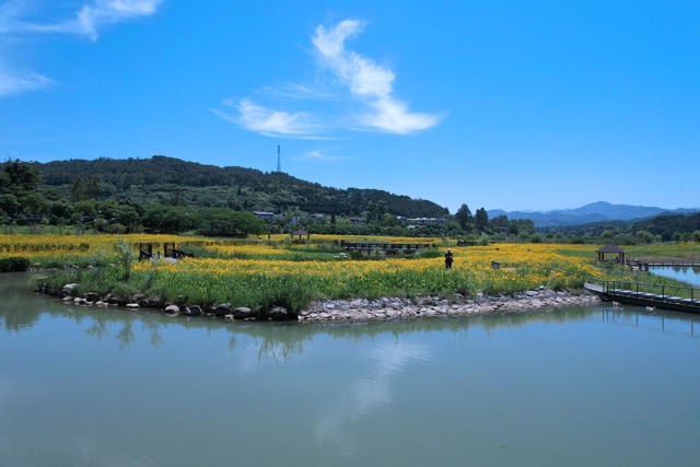 东江湖 畔 湿地 美