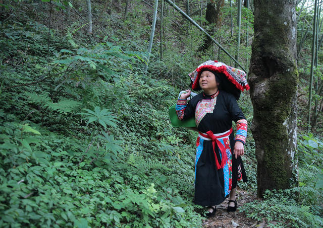 瑶绣 90岁老奶奶 老师 二峰村 盘乙花