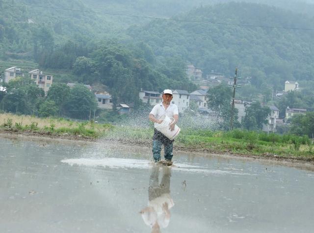   小满到    农事忙