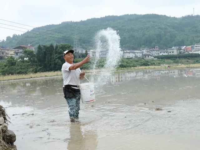  小满到    农事忙