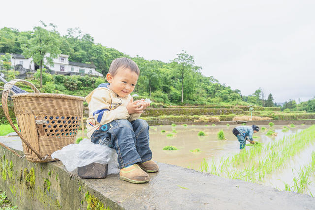 小满节气  吉首市矮寨镇排兄村村民们抢抓农时栽插杂交水稻  田间一片繁忙。