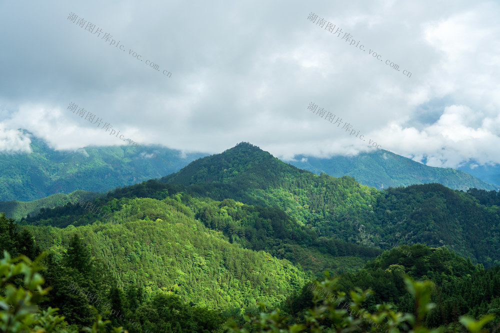 自然,风光,风景,森林,树木,山川,山脉,绿色,青山,背景,天空,生态,环境,环保,云雾,山峰,高山,户外,树,自然美,山雾,云雾缭绕,云,地形