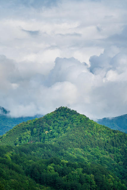 自然,风光,风景,森林,树木,山川,山脉,绿色,青山,背景,天空,生态,环境,环保,云雾,山峰,高山,户外,树,自然美,山雾,云雾缭绕,云,地形