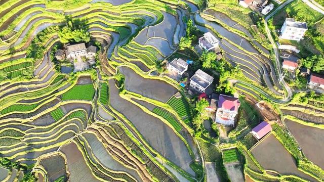 湖南新宁：生态和美 梯田如画