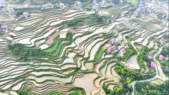 湖南新宁：生态和美 梯田如画