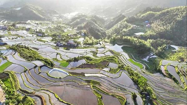 湖南新宁：生态和美 梯田如画