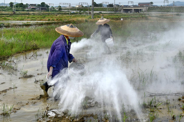 施撒土壤调理剂 改善土壤保丰收