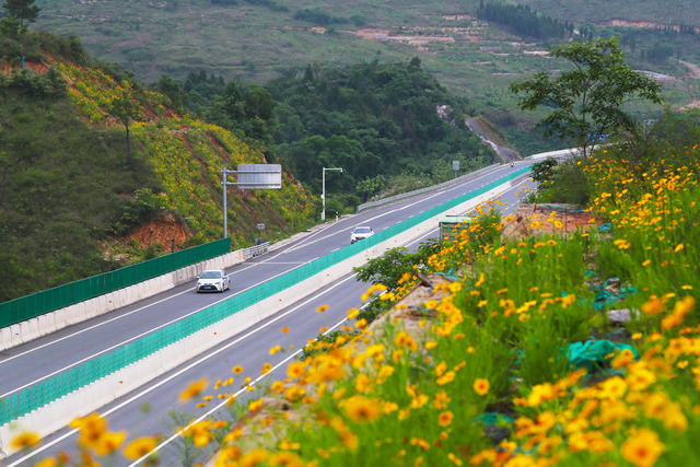美丽公路  行驶  交通  